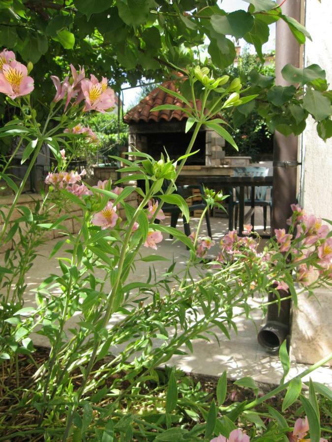 Apartment Petrinic V Πούλα Εξωτερικό φωτογραφία